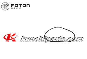Foton Auman Weichai P161200090187 벨트 10 * 1075la 완벽한 전원 WMDL